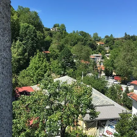 Гостевой дом Sofia *
