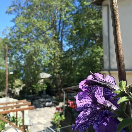 Гостевой дом Sofia Киссос